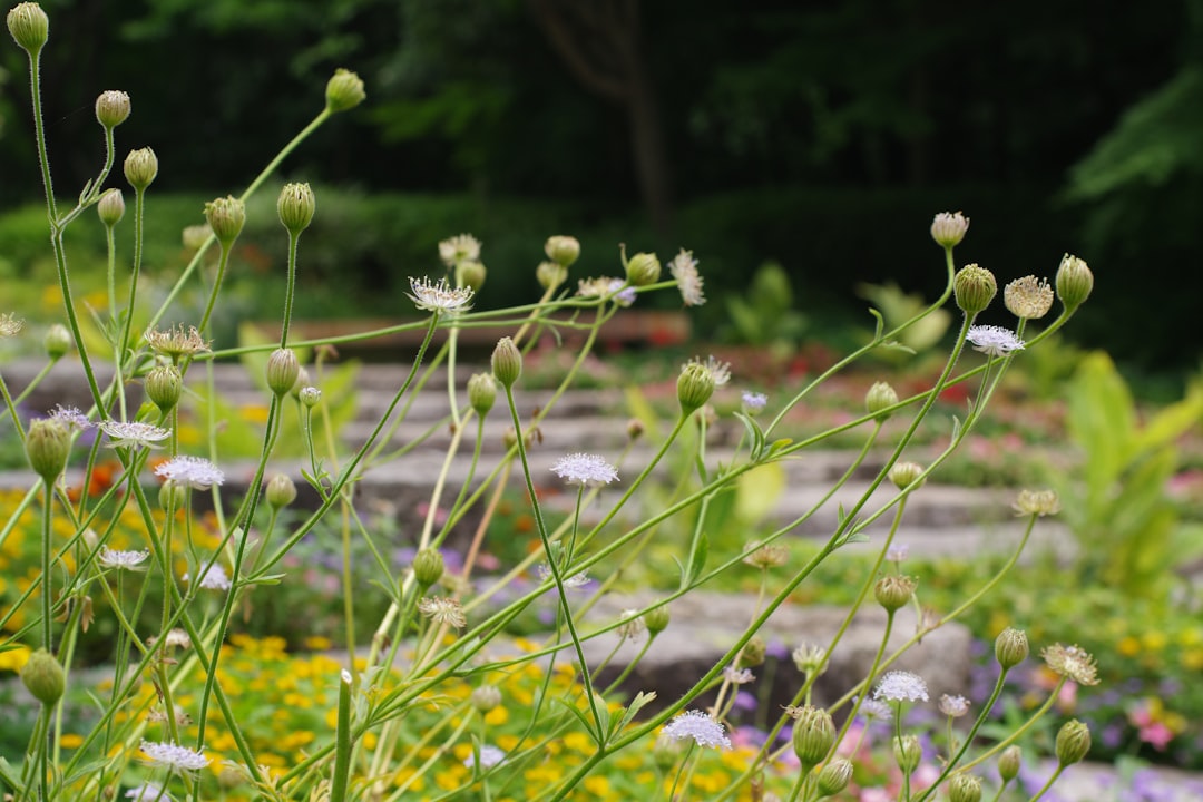 进销存系统现状分析：技术发展与市场挑战