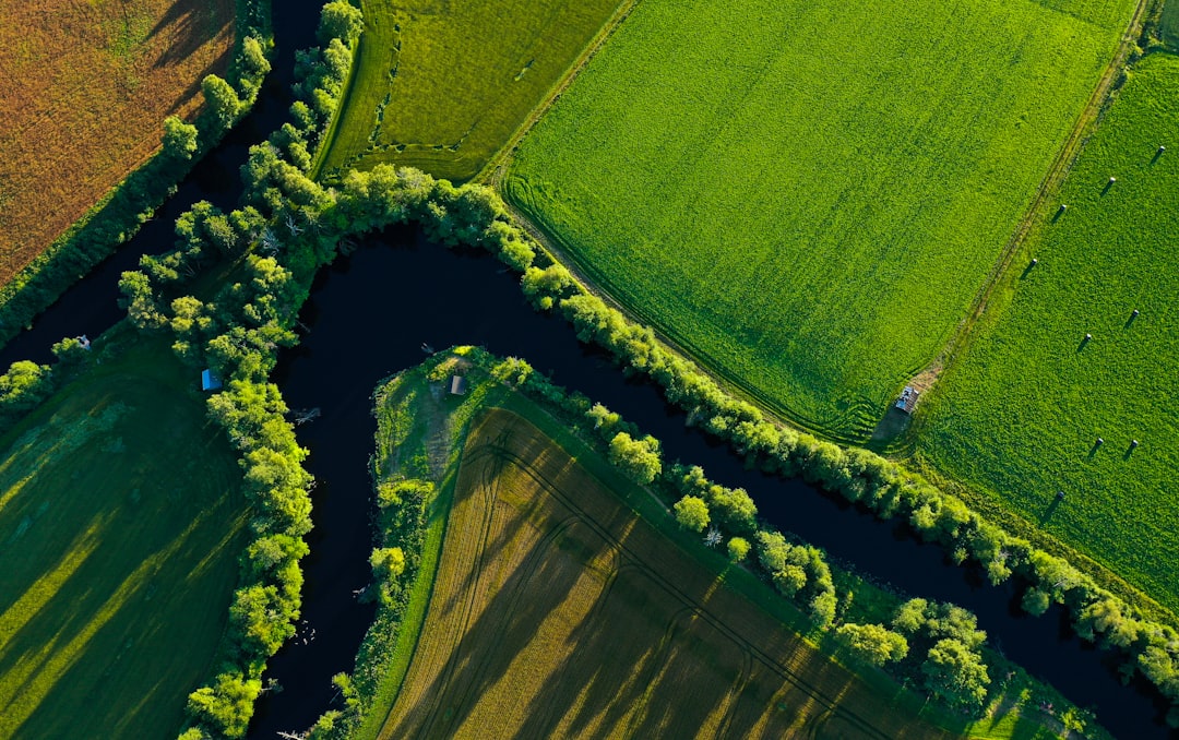 现代企业库存管理解决方案：优化供应链与提升效率