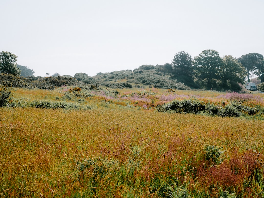 RFIDタグの種類と応用シーン